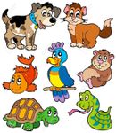what kind of pets do you want to have? i would like a white cat cause they are cute and fluffy. but last time i had a hamster and a cat but i lost them on the street. what kind of pets do you want to have? i would like a white cat cause they are cute and fluffy. but last time i had a hamster and a cat but i lost them on the street.