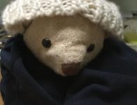 Think of this bears name What do you think the name should be (BTW it's a girl) Think of this bears name What do you think the name should be (BTW it's a girl)