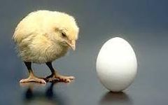 WHat cam first chicken or egg Which came first i mean did the chicken hatch out of the egg but how was the egg layed without a chicken which came first :D WHat cam first chicken or egg Which came first i mean did the chicken hatch out of the egg but how was the egg layed without a chicken which came first :D