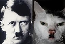 Do you see the comparison? Do you see the comparison? Do you see the comparison? Do you see the comparison?