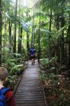 Do you like nature? Do you like nature?
