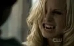 can vampires turn into bats? I'm wondering about that because I love vampires they rock! can vampires turn into bats? I'm wondering about that because I love vampires they rock!