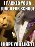 What day do you start school? What day do you start school? What day do you start school? What day do you start school?