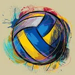What do you think about volleyball?