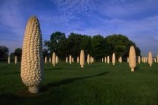 Why are there giant corns in Dublin, Ohio? Why are there giant corns in Dublin, Ohio?
