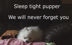 could you please awnser this ? hi could you please awnser this ? hi