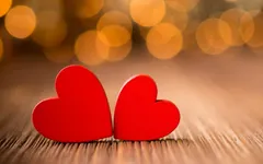 What is the point of love? Why do people fall in love? How? What is the point of love? Why do people fall in love? How?