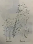 Tomius's mlp oc