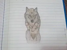 jumping timberwolf