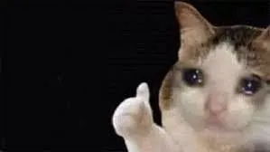 me when @TinyGoat says time for Bella to get kidnapped!