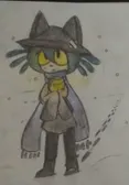 Here's Niko from oneshot