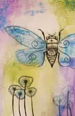 cicada