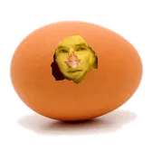 benebeak cumberhatch