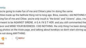 everybody needs to see this because brea always attacks the wrong people