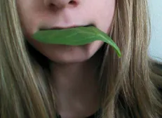 Leaf game strong:^)