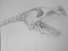IDK