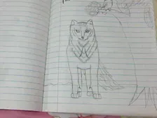A WOLF