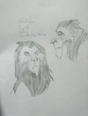 Day 2: scars