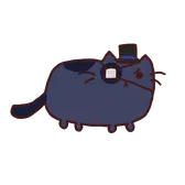 Ciel as a cat