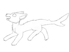 gross sketch of reef
