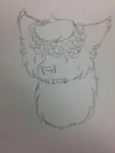 2/2