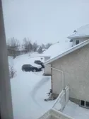 Isn't spring amazing?