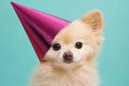 two more days until my bday!