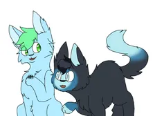 Have you forgotten I can't see? WIP