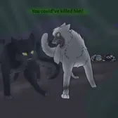 You could've killed him!