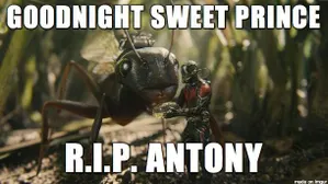 Gonna miss this ant... ? ant man feels!