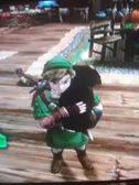 Link holding a pupper is my new aesthetic