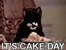 tiny after i sham a cake to their face