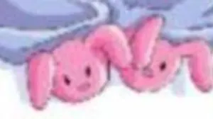 Face Reveal!