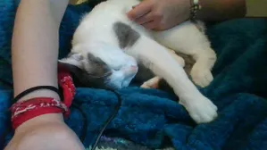 My foot has fallen asleep... but I don't want to wake the beast....