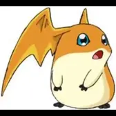 funny hamster get bonk :(