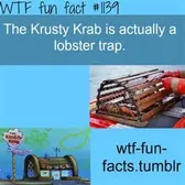 It all makes sense now