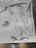 Here scp7000