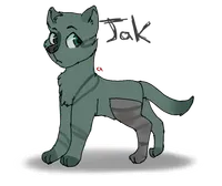 Christmas Gift for @Heart_Of_The_Wolf-"Jak"