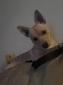 He's calm now
