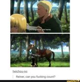 XD