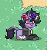 FIRST PONYTOWN DESIGN