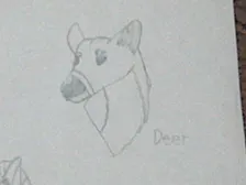 I DREW A DEER :D