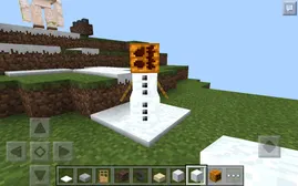 Poor snow golem