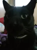 Look at my idiot baby
