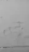 IT SNOWIN IN FLORIDA