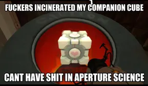 no one will get this but I love it