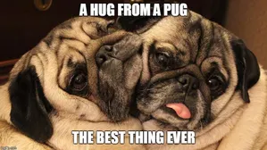 aww
