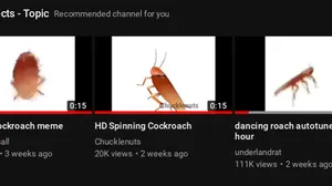 nice