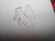 Baby dragon 1#