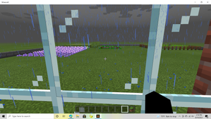 rain